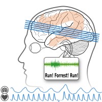 Person hearing a movie, with recording of brainfunction,
             heartbeat, and breathing.
