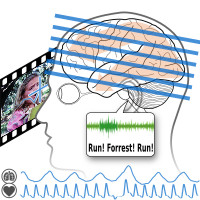 Person watching and hearing a movie, with recording of
             brainfunction, heartbeat, and breathing.